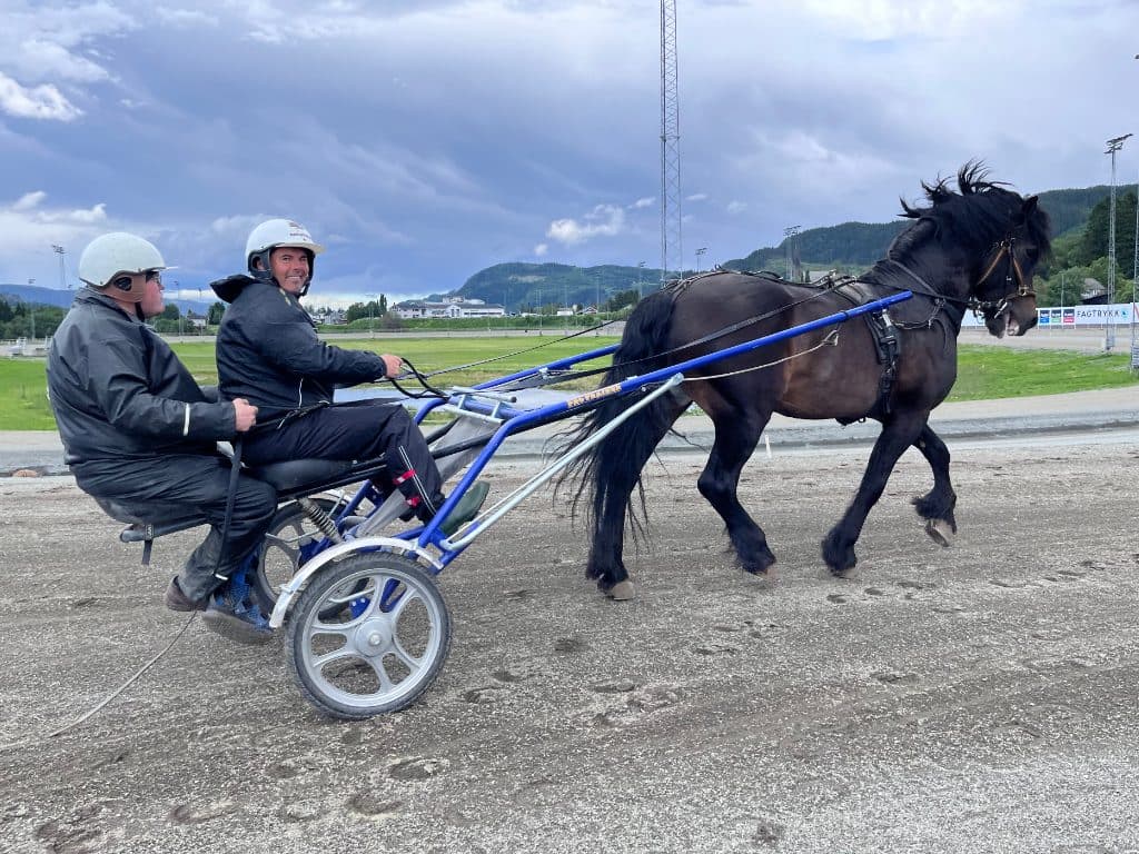 To medlemmer bak hesten i travvogna